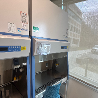 Thermo 1300 Series A2 4' BioSafety Cabinet image 0